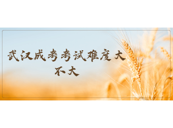 武汉成考考试难度大不大