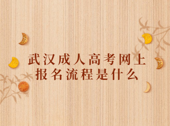 武汉成人高考网上报名流程是什么