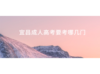 宜昌成人高考要考哪几门