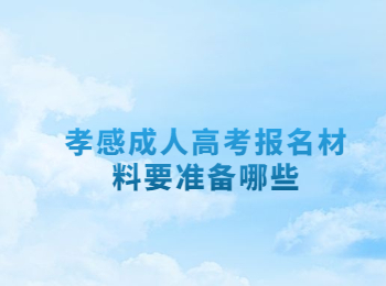 孝感成人高考报名材料要准备哪些