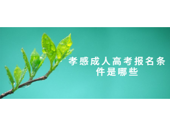 孝感成人高考报名条件是哪些