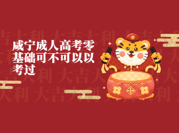 咸宁成人高考零基础可不可以以考过