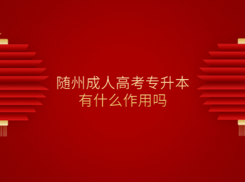 随州成人高考专升本有什么作用吗