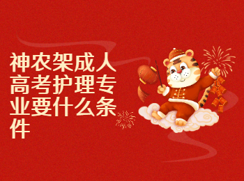 神农架成人高考护理专业要什么条件