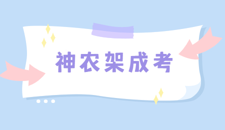 神农架成考网上报名流程?